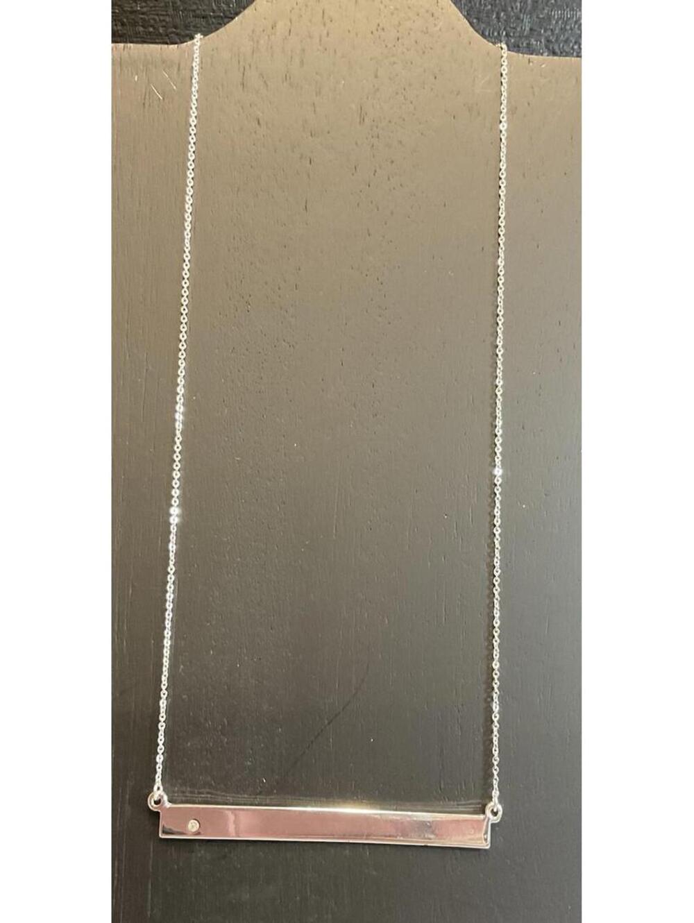NWT Express Silver Tone Chain W/ Plate Necklace # 1175